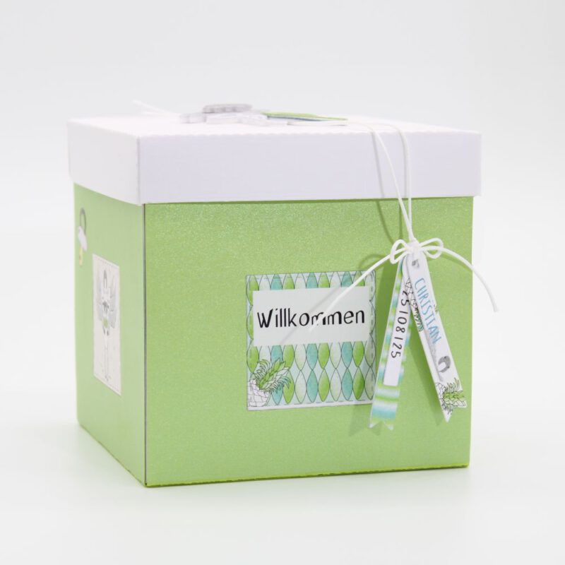 Explosionsbox Flamingo zur Geburt