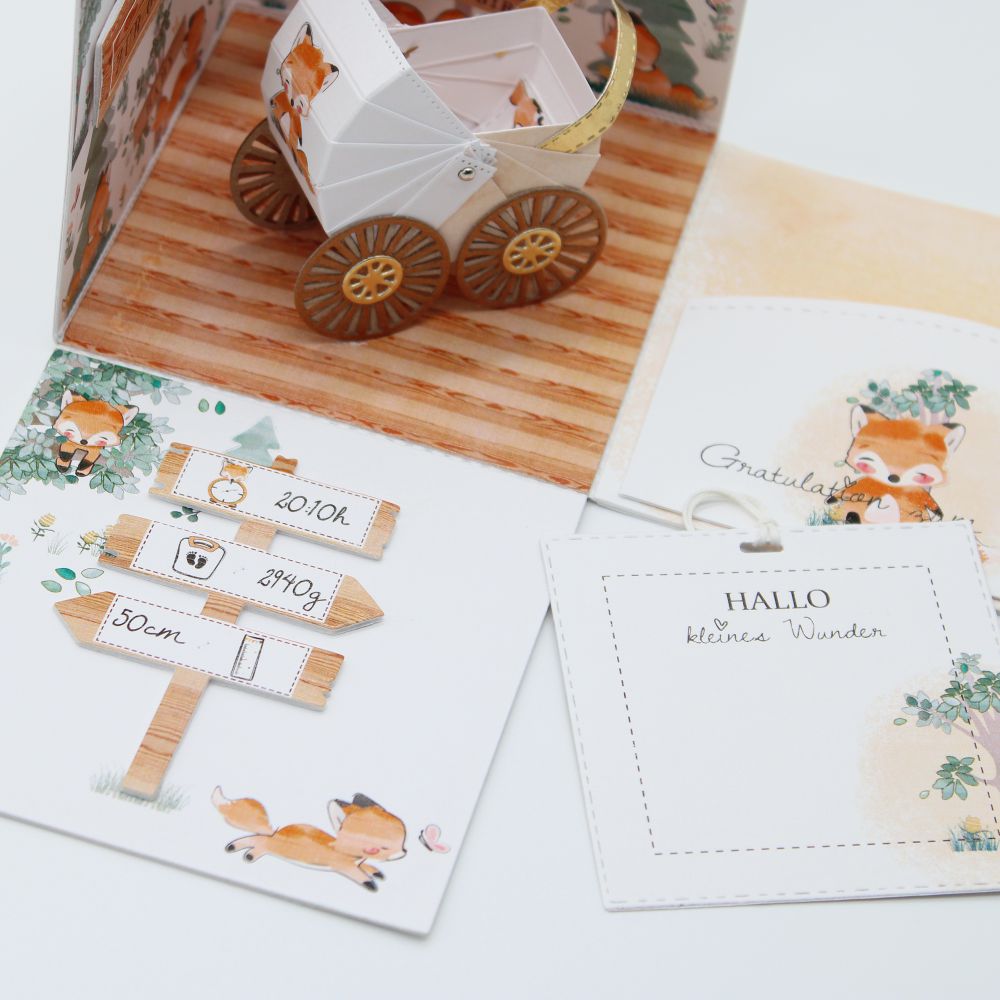 Fuchs – Bild 8