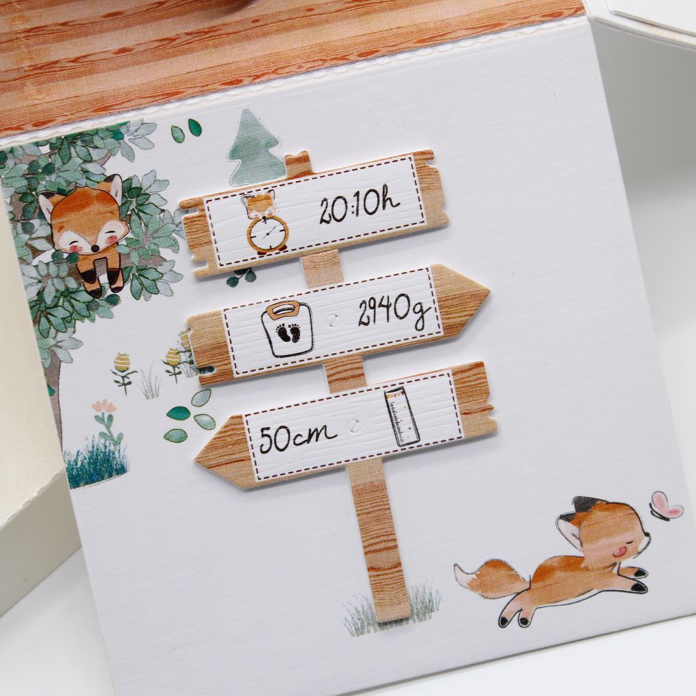 Fuchs – Bild 6
