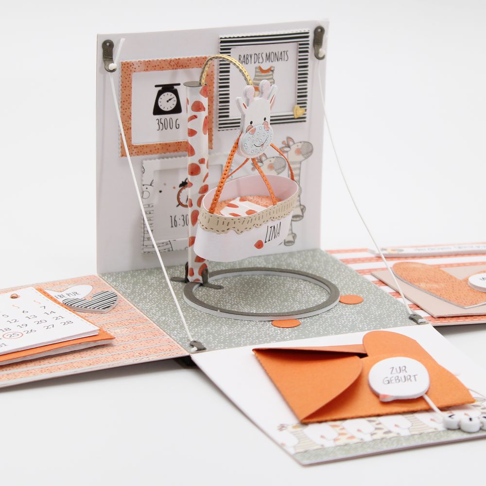 Giraffe Apricot – Bild 8