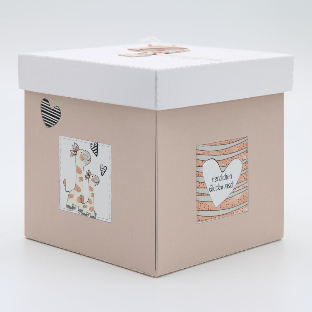 Giraffe Apricot – Bild 9