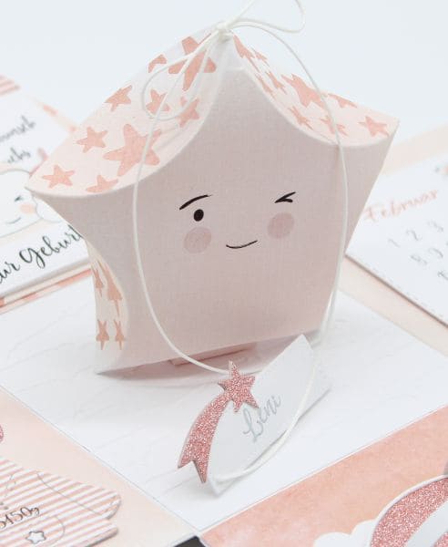 <img src="PG17-Stern-Rose.jpg" width="100%" height="auto" alt="Explosionsbox Stern Rose mit Mini-Box" rel="nofollow noindex">