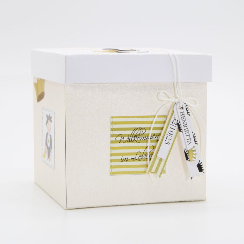 Explosionsbox Prinzessin zur Geburt